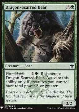Dragon-Scarred Bear