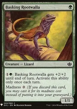 Basking Rootwalla