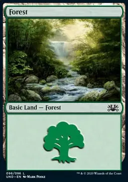 Forest