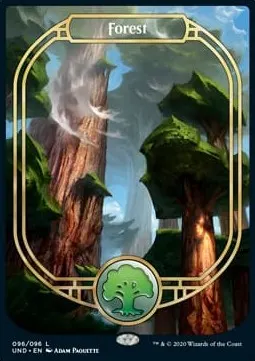Forest