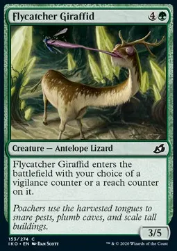 Flycatcher Giraffid