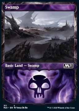 Swamp