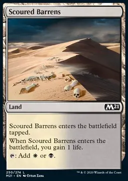 Scoured Barrens