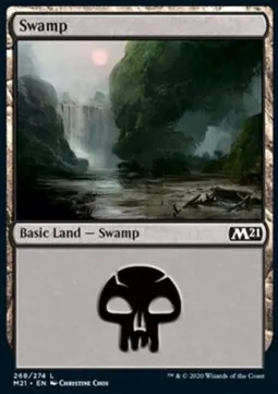 Swamp