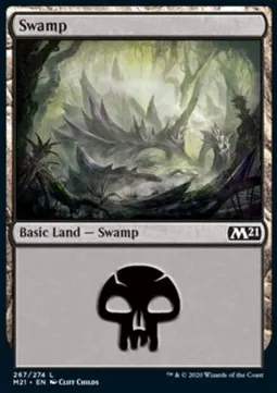 Swamp