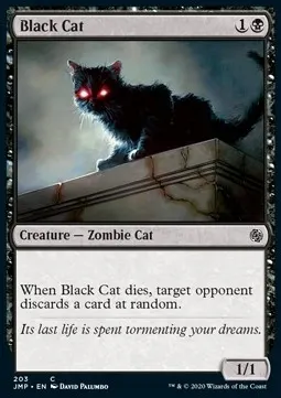 Black Cat
