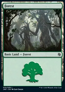 Forest