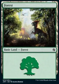 Forest