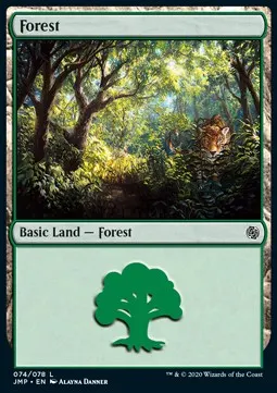 Forest