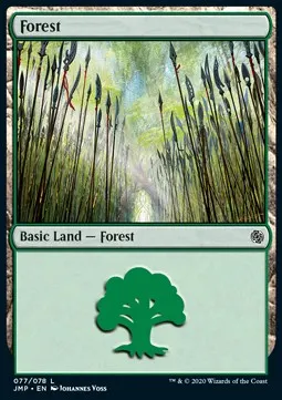 Forest