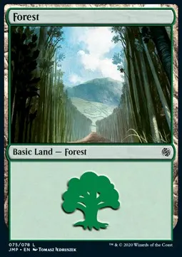 Forest