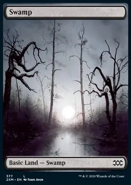 Swamp