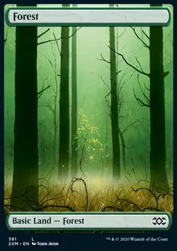 Forest