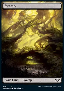 Swamp