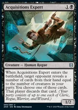 Acquisitions Expert