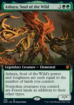 Ashaya, Soul of the Wild