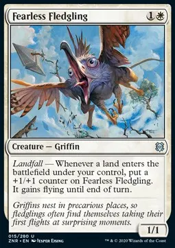 Fearless Fledgling