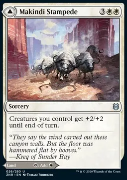 Makindi Stampede // Makindi Mesas