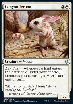 Canyon Jerboa