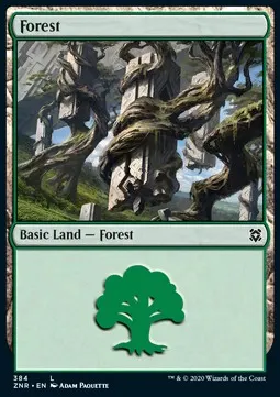 Forest