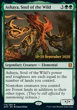 Ashaya, Soul of the Wild