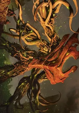 Art Series: Ashaya, Soul of the Wild