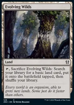 Evolving Wilds