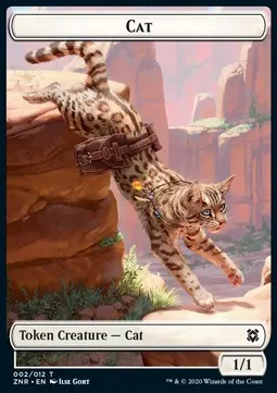 Cat // Construct