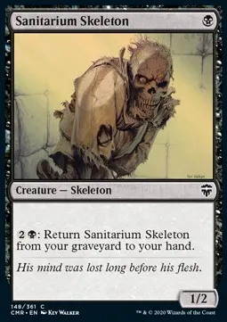 Sanitarium Skeleton