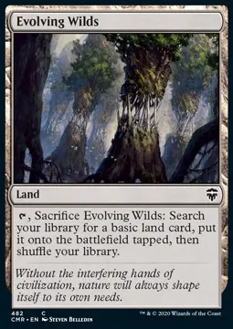 Evolving Wilds