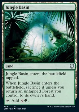 Jungle Basin