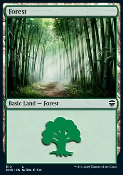 Forest