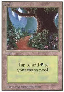 Forest
