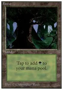 Forest