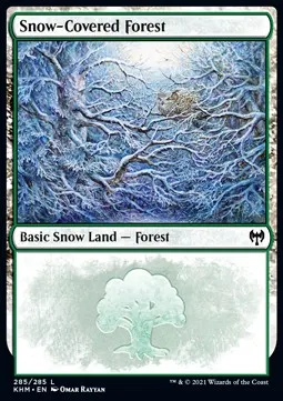 Snow-Covered Forest
