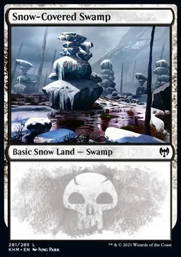 Snow-Covered Swamp
