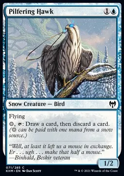 Pilfering Hawk