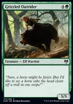 Grizzled Outrider