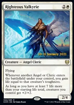 Righteous Valkyrie