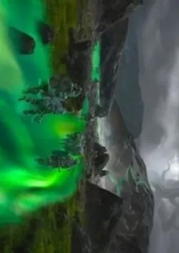 Art Series: Path to the World Tree