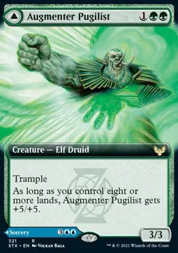 Augmenter Pugilist // Echoing Equation
