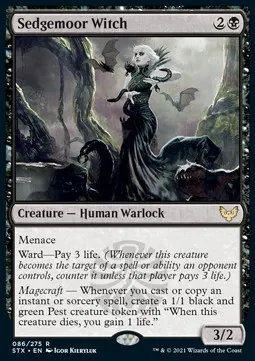 Sedgemoor Witch