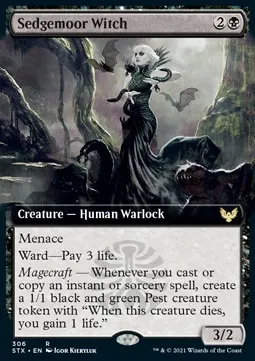 Sedgemoor Witch