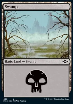Swamp