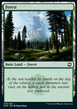 Forest