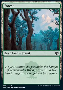 Forest