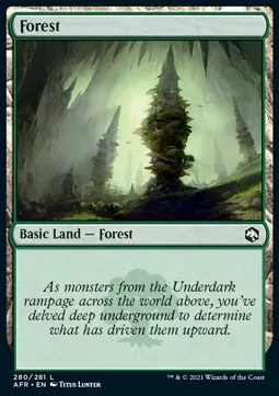 Forest