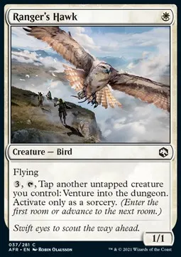 Ranger's Hawk