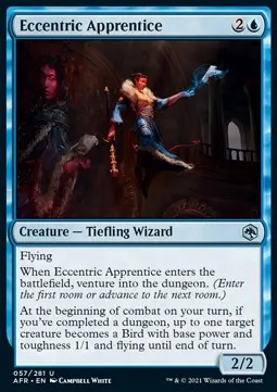 Eccentric Apprentice