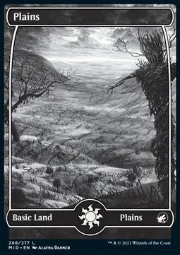 Plains